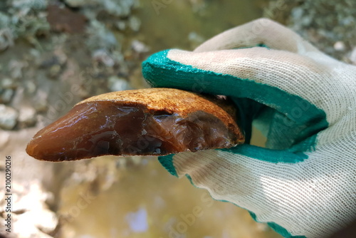Chalcedony flint concretion with deliberate edge retouching held in a gloved hand, ancient stone age tool discovery found in a shallow creek bed, archaeological find, close-up