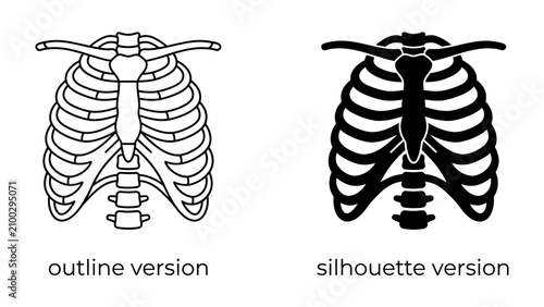 Foto Human Rib Cage Anatomy: A clear illustration displaying the human rib cage in both an outline and silhouette version, detailing the sternum, ribs