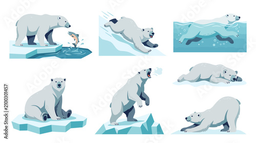 A collection of cartoon illustrations depicting polar bears in various activities like fishing, sliding, swimming, sitting, roaring, and resting on ice.