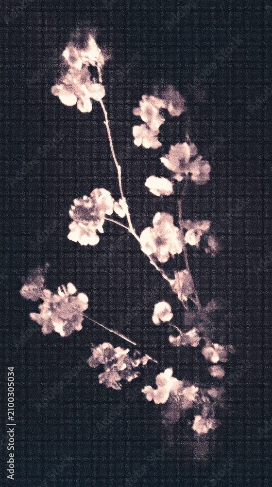 Obraz premium Vintage floral mobile wallpaper with soft pink blossoms on a dark background.