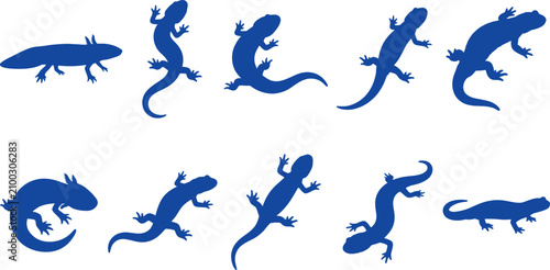 Blue newt and salamander silhouette bundle illustrating crawling amphibians on transparent background