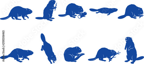 Blue beaver silhouette set displaying different gnawing standing and swimming rodent poses on white