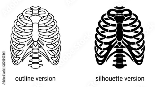 Принти на полотні Rib Cage Anatomy: Two detailed depictions of the human rib cage, one as a clear outline and the other as a stark silhouette, illustrating the thoracic skeletal structure