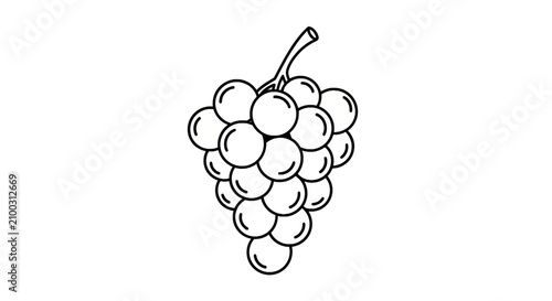 Foto Bunch of grapes fruit line art
