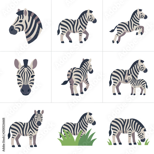 Collection of Various Zebra Images Showing Different Angles and Poses.