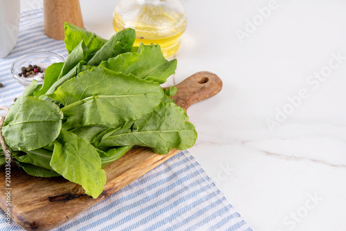 Принти на полотні Bunch of fresh raw organic sorrel leaves