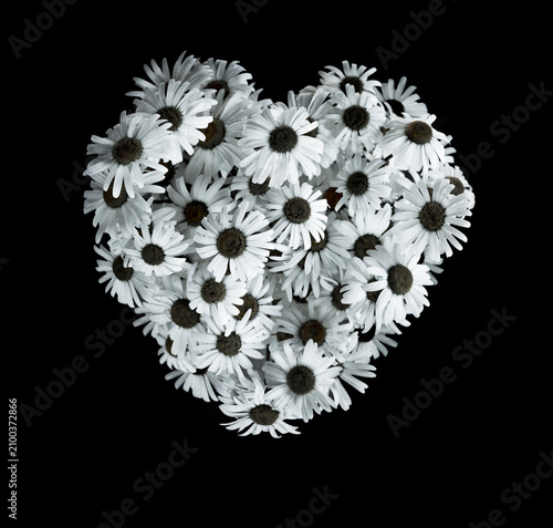 Herz aus Margeritenblumen