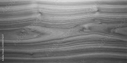 Fotografie An exquisite close-up of a natural wood texture showcasing intricate swirling grain patterns and organic lines in elegant monochrome