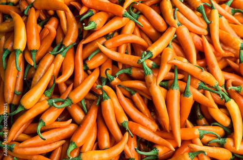 Fresh orange chili peppers from Thailand showcase their vibrant color in a local market setting in Southeast Asia during harvest season