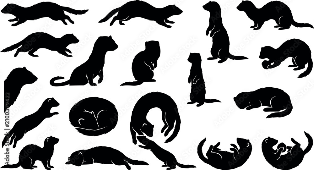 Fototapeta premium Ferret silhouette vector collection with weasel and mink shapes in various poses