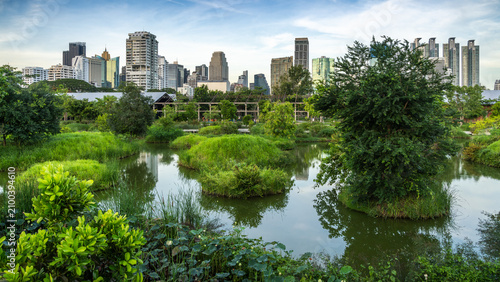 City Oasis - Stadt Oase