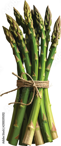 Fresh green asparagus stalk...