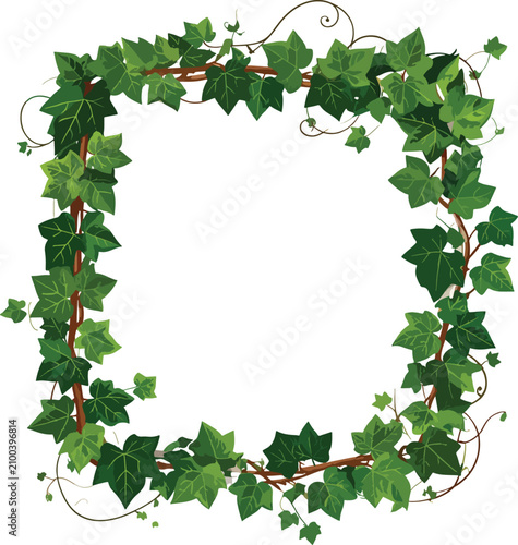 Green ivy vine border frame...