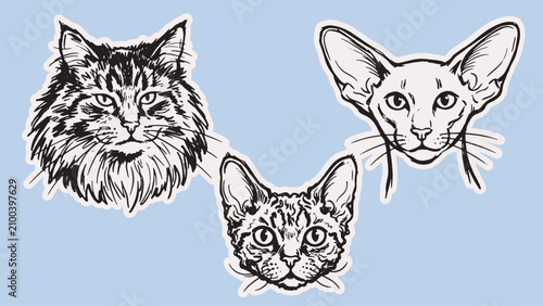 Foto Stylized cat head illustration with maine coon devon rex and sphynx breeds in ar