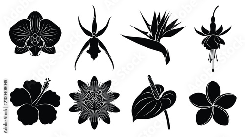Bild auf Leinwand A set of black silhouettes featuring various tropical flowers, including orchids