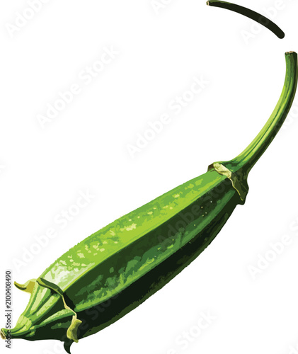 Isolated okra pod vegetable...