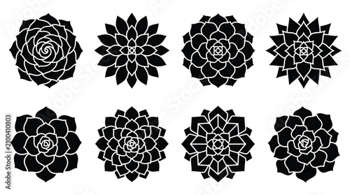 Obraz na płótnie Collection of eight black and white succulent plant featuring various geometric