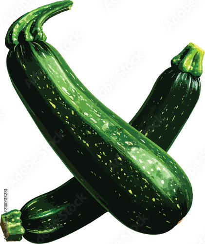 Two fresh green zucchini ve...