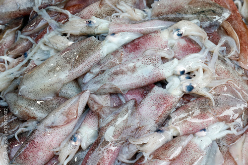 Fresh squid for sale at a fish market in Vung Tau, Ba Ria Vung Tau, Vietnam during morning hours with various catches displayed