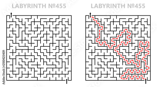 maze, labyrinth, puzzle, solution, answer, strategy, route, navigation, path, thinking, logic, task, concentration, planning, solved, vector, challenge, kids, activity, square, 21x21, easy, printable,