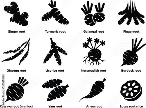 фотографія Set of twelve black and white depicting various edible roots and tubers with the