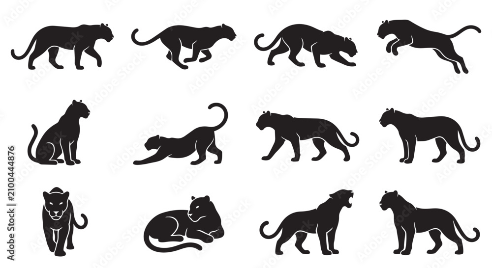 Obraz premium Dynamic black panther silhouettes set in various hunting and resting positions with big cat, animal kingdom