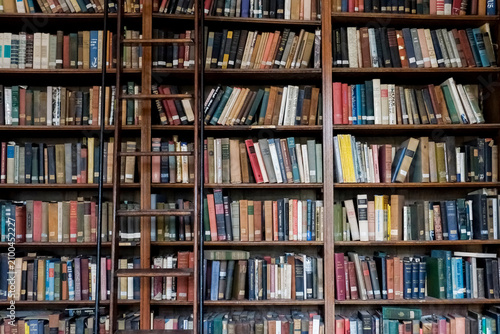 Library Bookshelves Full of Old Books