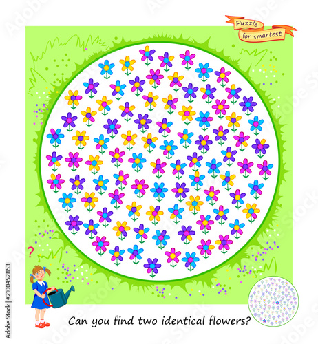 Can you find two identical flowers? Hand drawn vector illustration. Logic puzzle for children and adults. Game Seek and Find. IQ test. Page for kids brain teaser book. Task for the most attentive.
