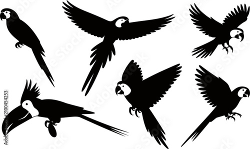 Foto Collection of various parrot silhouettes flying and perched  tropical bird desig