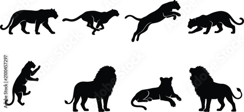 Canvas Print Big Cat and Lion Silhouette Collection Featuring Walking Running Jumping Hunting