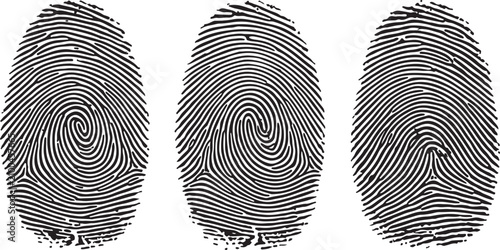 Fotografie Three distinct fingerprint patterns on a clean white background representing ide