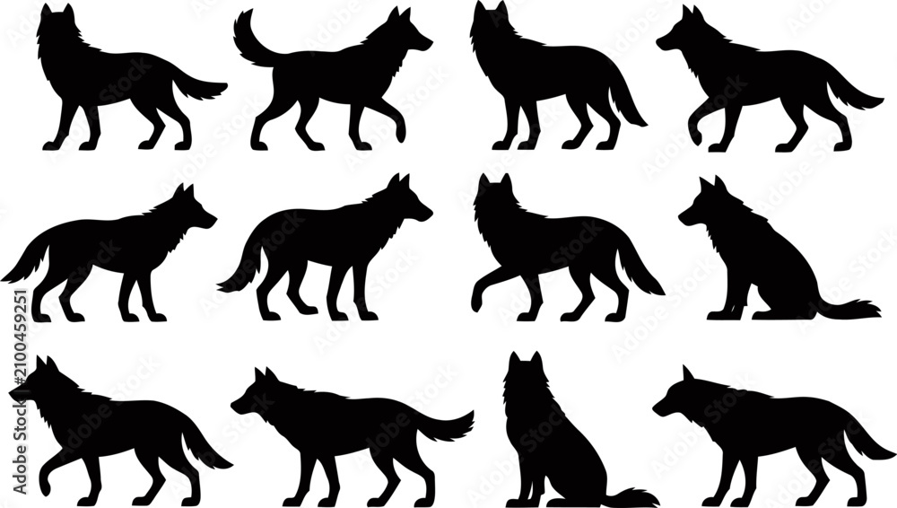 Obraz premium Set of wolf silhouettes in various poses and movements walking and sitting