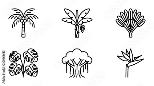 Tropical Plant Icons Set, Exotic Flora Line Art Collection, Botanical Vector Graphics for Nature Designs
