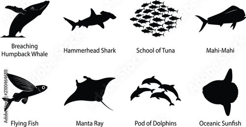 Photography Collection of marine animal silhouettes including whales, sharks, dolphins, and