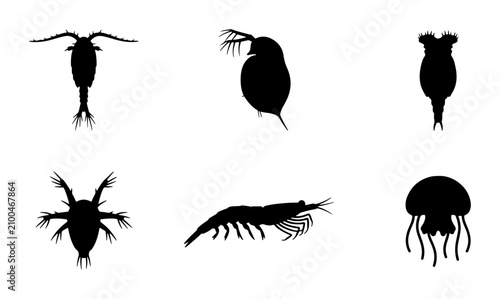 Canvastavla Plankton Silhouettes Collection: Marine Life Icons, Aquatic Organisms, Zooplankt