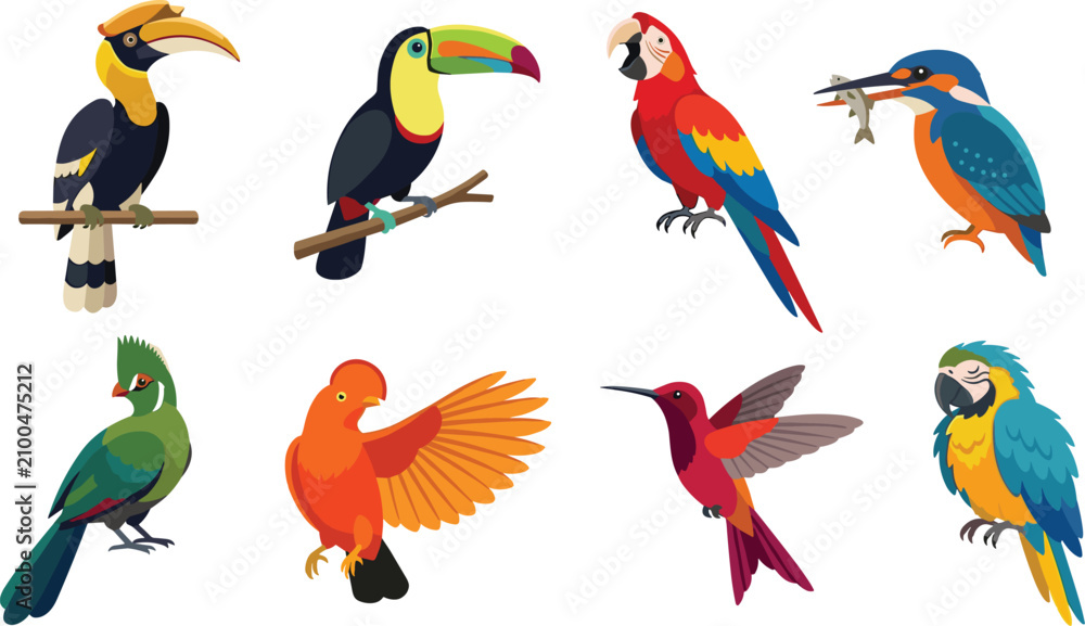 Fototapeta premium Colorful Tropical Bird Vector Collection with Parrots Toucans Hummingbird and Exotic Wildlife