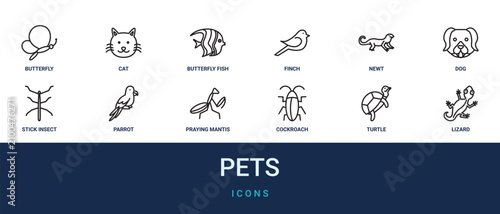 Photos Set of 12 outline web Pets icons such as lizard, turtle, cockroach, praying mant