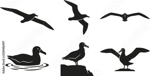 Canvastavla Set of black albatross silhouettes representing wild seabirds flying and swimmin