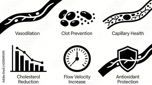 Microcirculation improvement icon combination presentation, expanding blood vessels to maintain capillaries, reducing cholesterol, and relying on antioxidant substances to protect blood vessels
