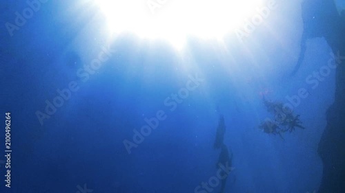 underwater scene with sun rays