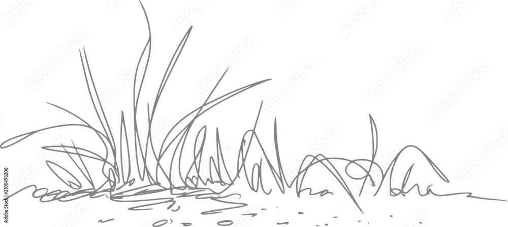 Obraz premium きれいな白い背景に隔離された、野生の草の小さな茂みのミニマリストな手書きイラスト