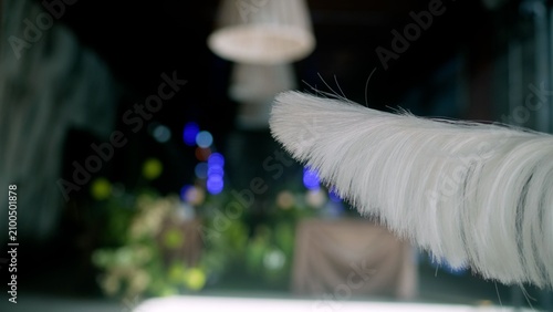 Canvastavla White feather duster closeup with bokeh lights background