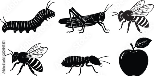Fotografie Insect Life Cycle Icons Set - Caterpillar, Grasshopper, Bee, Flying Ant, Larva and Apple Vector Illustration
