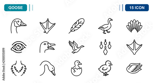 Quadro su tela 15 Goose linear icon set bird head, feather, egg, webbed foot, UI and web interf