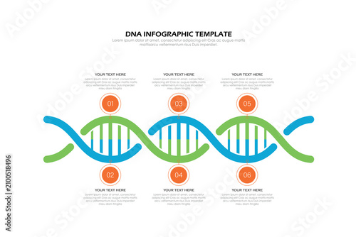 DNA vector infographic. Timeline process template.