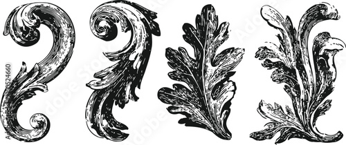 baroque ornamental floral scrolls vintage decorative acanthus leaves design elements