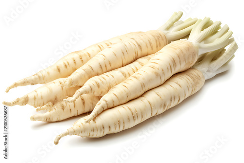 Photorealistic parsnip roots with creamy white smooth skin, distinct horizontal grooves and small rootlets arranged in a neat row.