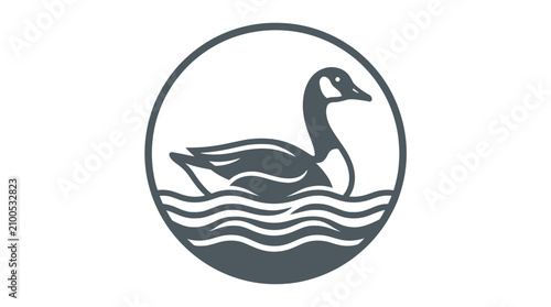 Φωτογραφία Duck in circle swimming water.