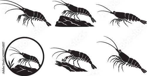 Billede på lærred Sulawesi Cardinal Shrimp Silhouette Icon Set Black Freshwater Aquarium Shrimp Ve