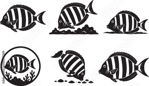 Fotografía Convict Tang Silhouette Icon Set Black Marine Surgeonfish Vector Collection